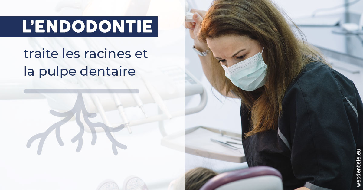 https://www.dr-heitz-dybski.fr/L'endodontie 1