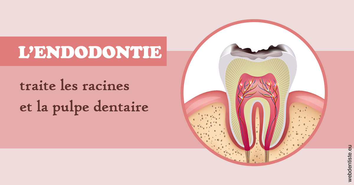 https://www.dr-heitz-dybski.fr/L'endodontie 2