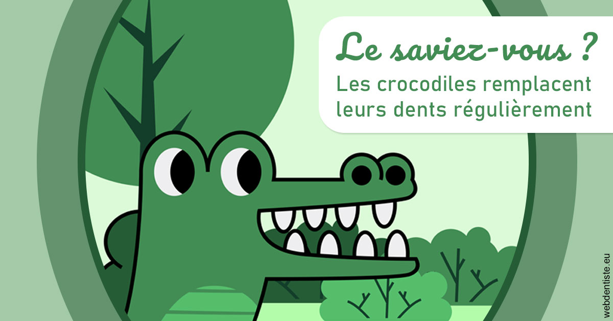 https://www.dr-heitz-dybski.fr/Crocodiles 2