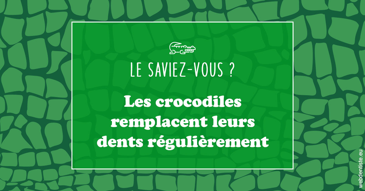 https://www.dr-heitz-dybski.fr/Crocodiles 1